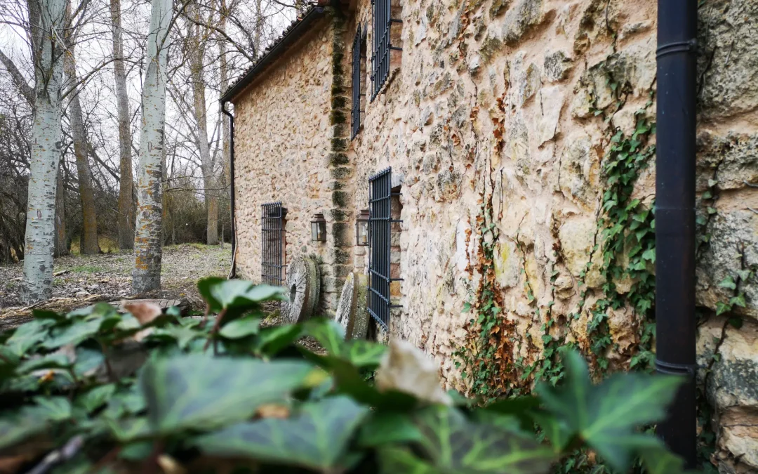 La Junta promueve la transformación de la enseñanza para adaptarla a los contextos de las zonas rurales