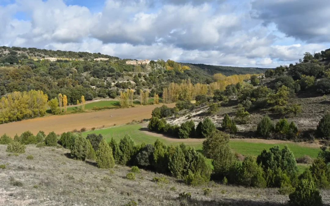 En estudio la reintroducción del lince ibérico en el Cerrato Palentino