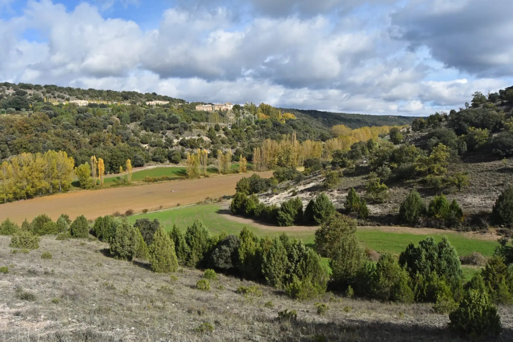 Medio Ambiente estudia la reintroducción del lince ibérico en el Cerrato Palentino (2)