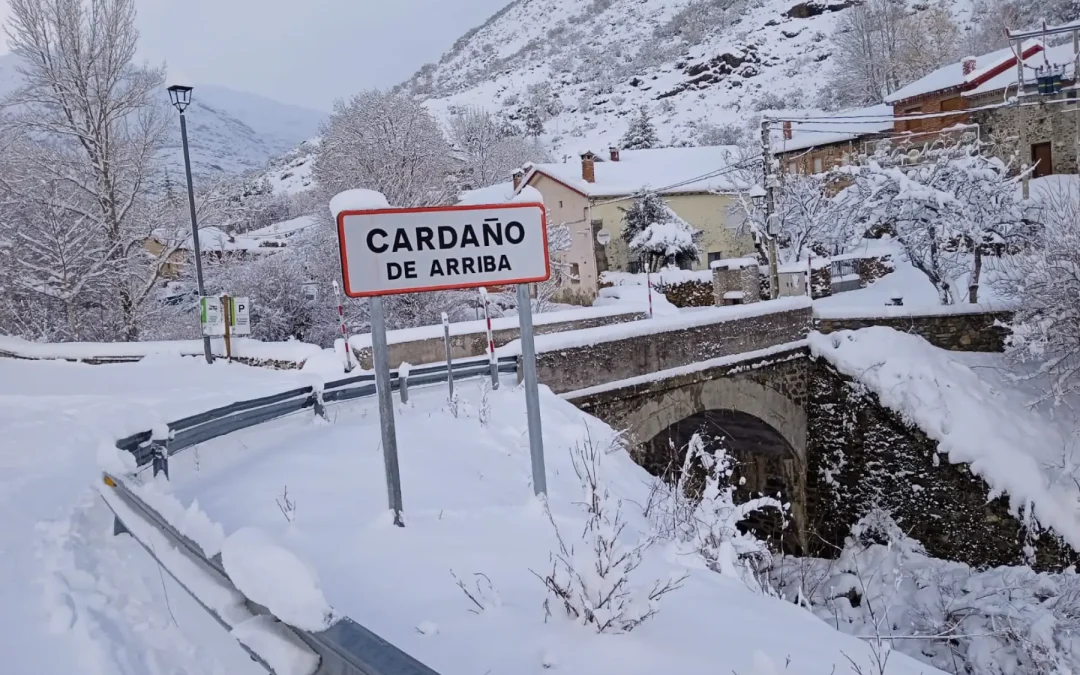 Galería fotográfica de la primera nevada del 2024 en la Montaña Palentina