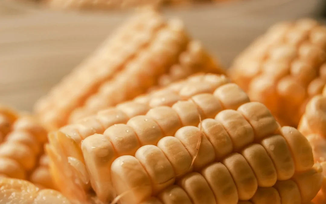 Itacyl desarrolla ‘Dipea Mediterráneo’: un snack de maíz y fruta con alto valor nutricional