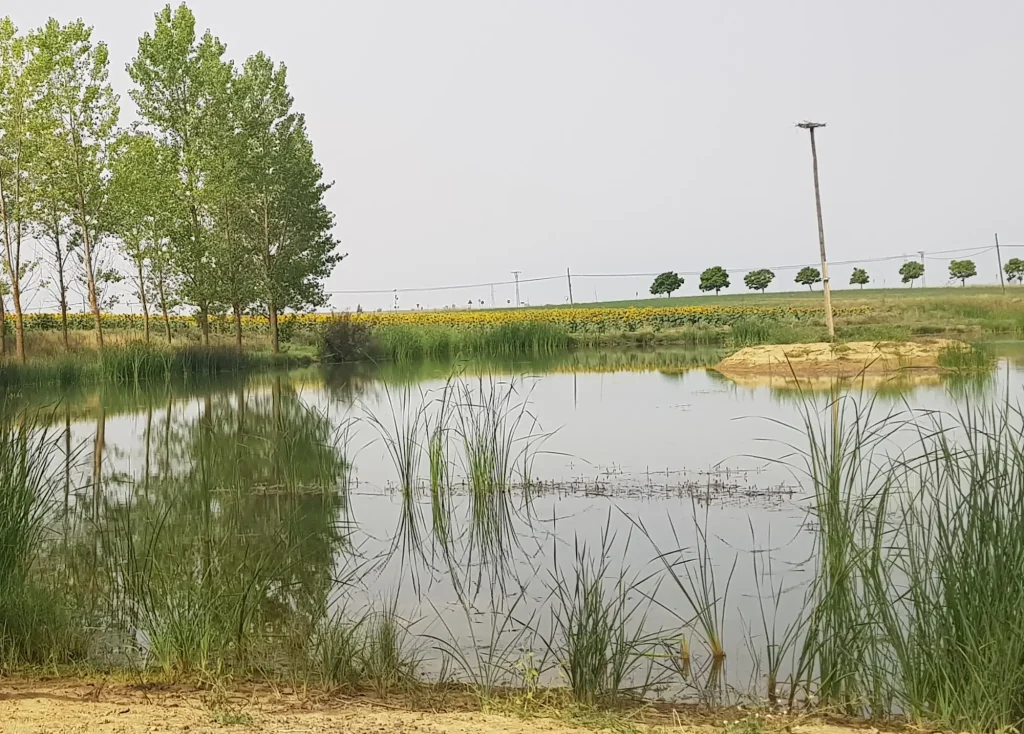 La Diputación de Palencia renueva su compromiso con los humedales de Tierra de Campos