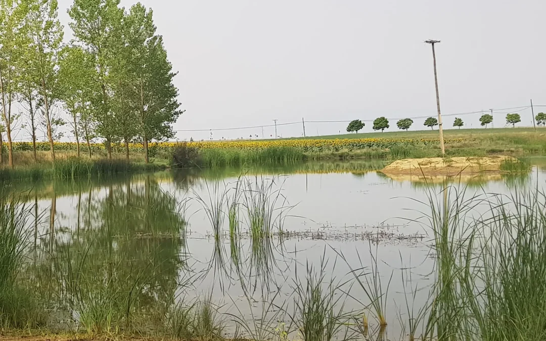 La Diputación de Palencia renueva su compromiso con los humedales de Tierra de Campos