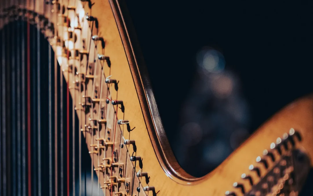 PROGRAMA | Carnaval Musical de Guardo 2024