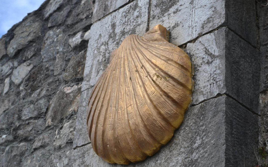 Definidos 24 tipos de paisaje en el Camino de Santiago Francés
