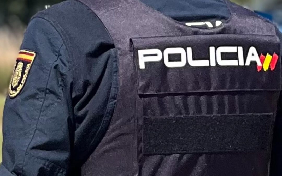 Identificada una mujer por robo con violencia en un Alcampo de Palencia
