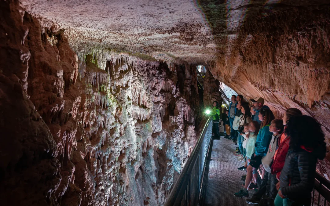 La Diputación de Palencia eleva su apoyo al Geoparque Mundial de la Unesco