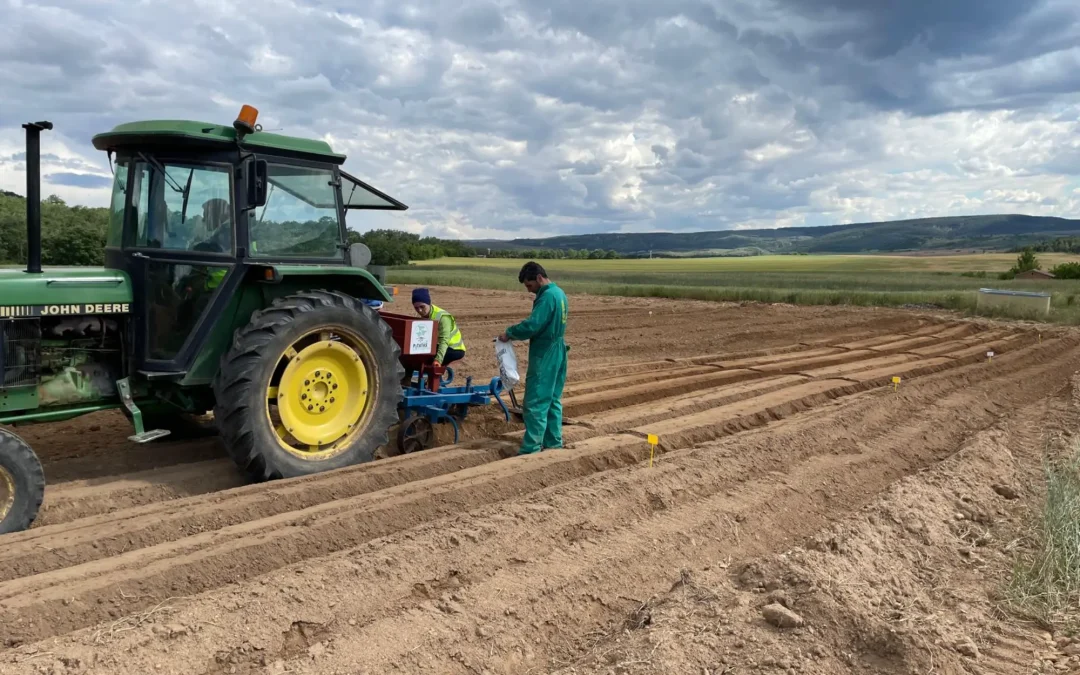 El Geoparque Las Loras sigue adelante en su apuesta por promover el cultivo de patata de siembra ecológica