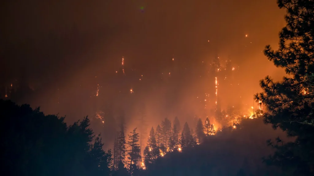 La Junta declara alerta de riesgo de incendios forestales por causas meteorológicas los días 18, 19 y 20 de julio en toda la Comunidad