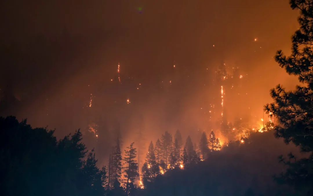 La Junta declara alerta de riesgo de incendios forestales por causas meteorológicas los días 18, 19 y 20 de julio en toda la Comunidad