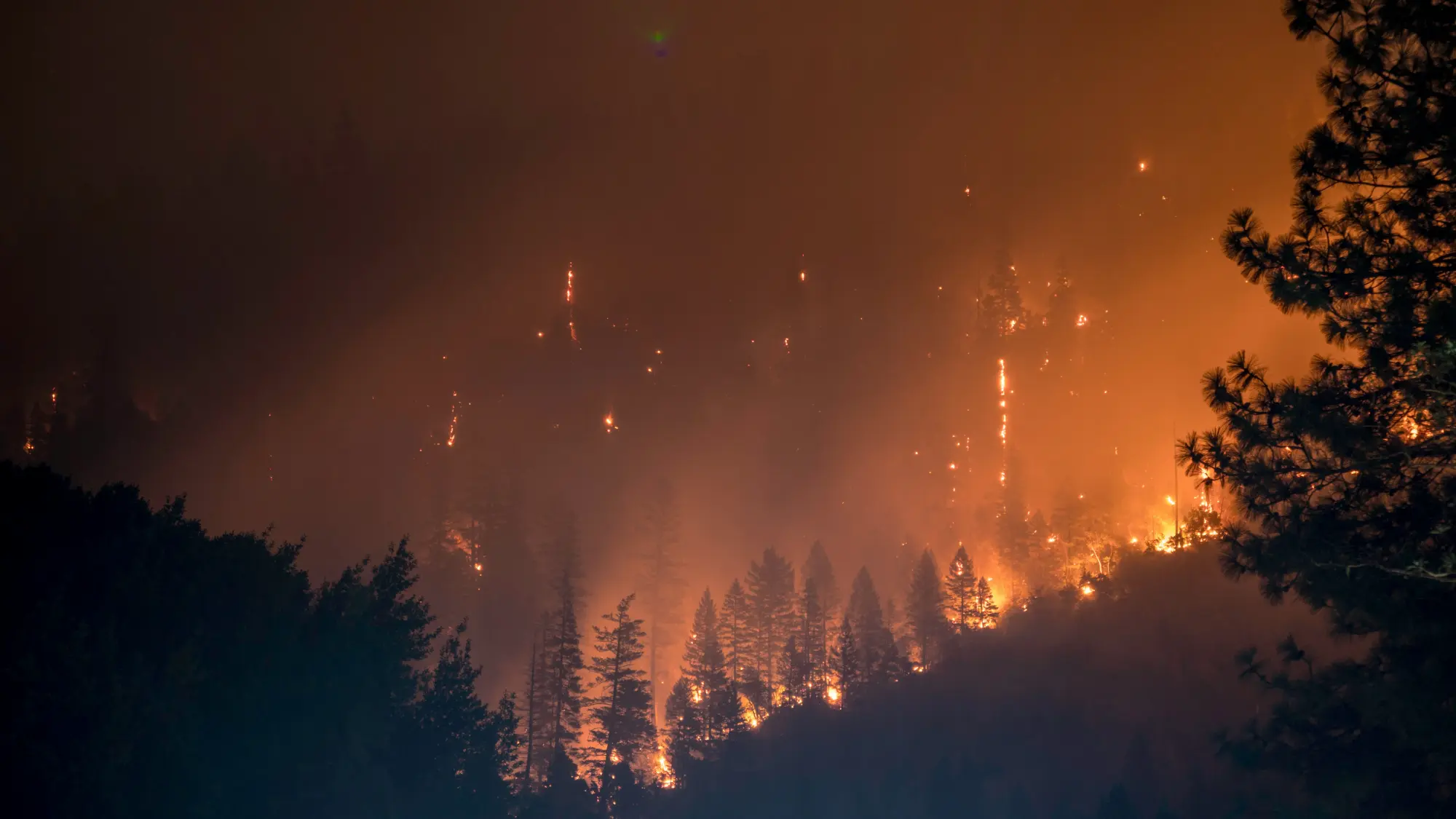 La Junta declara alerta de riesgo de incendios forestales por causas meteorológicas los días 18, 19 y 20 de julio en toda la Comunidad La Junta declara alerta de riesgo de incendios forestales por causas meteorológicas los días 18, 19 y 20 de julio en toda la Comunidad