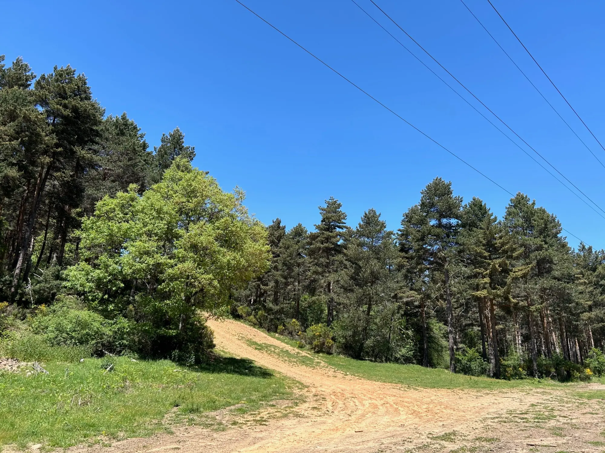 Adjudicadas las obras de tres circuitos MTB y señalización de senderos en el entorno de Guardo y Velilla