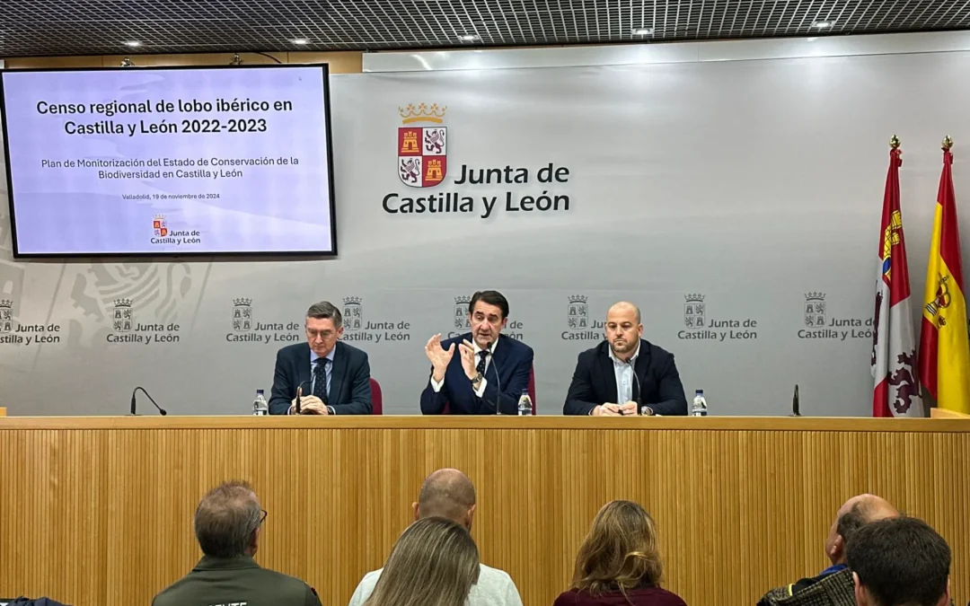 Crece la población de lobo ibérico en Castilla y León con 193 manadas censadas entre los años 2022 y 2023