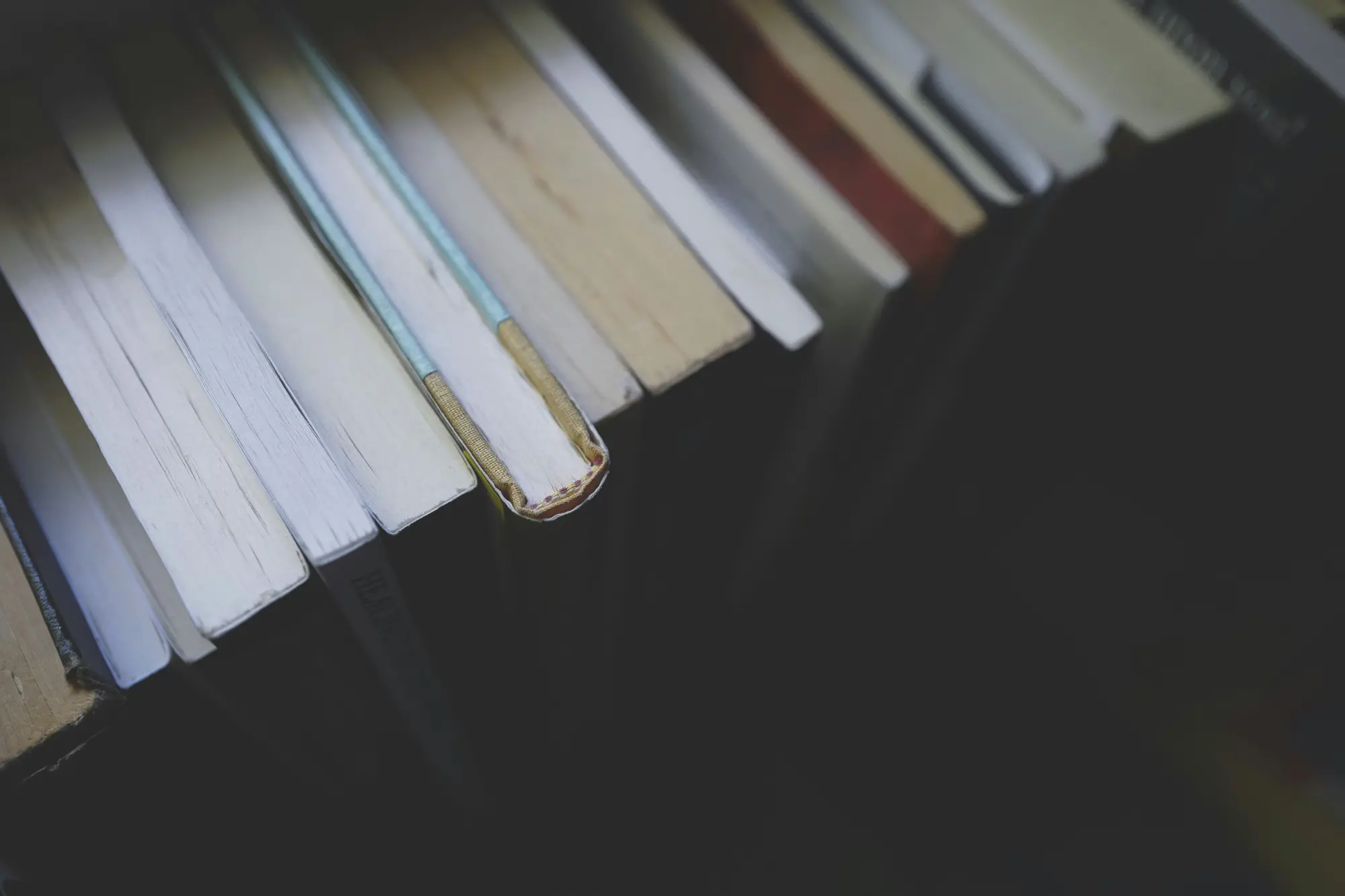 Abierto el plazo para que las familias de Castilla y León soliciten libros de texto gratuitos de cara al próximo curso Abierto el plazo para que las familias de Castilla y León soliciten libros de texto gratuitos de cara al próximo curso