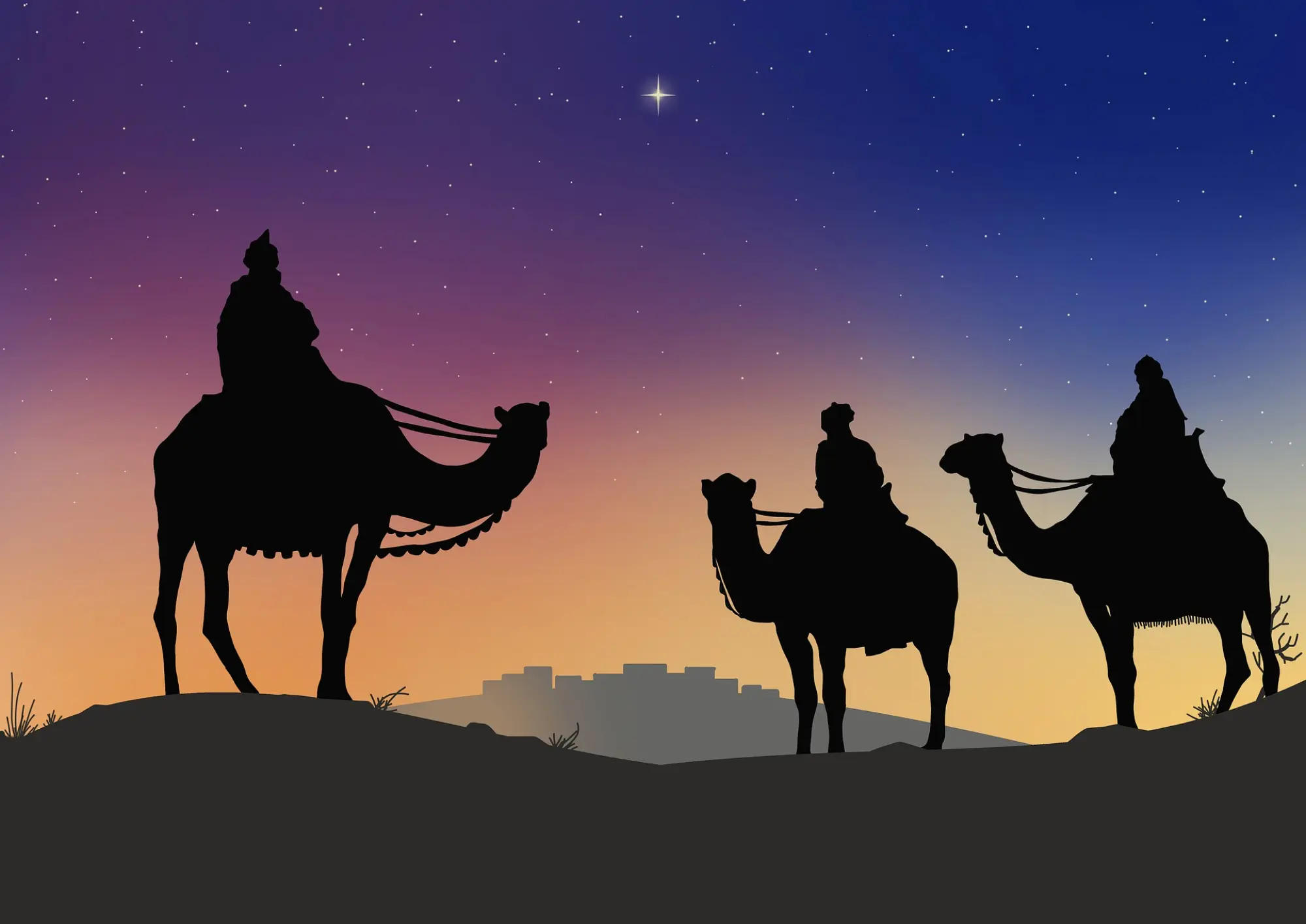 Cabalgata de Reyes Magos 2025 en Cádiz Horario y recorrido Cabalgata de Reyes Magos 2025 en Cádiz Horario y recorrido