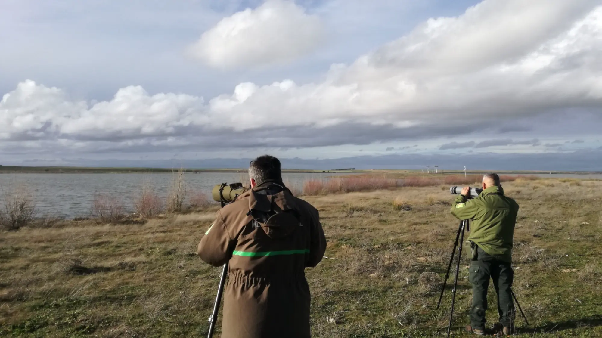Castilla y León realiza un nuevo censo para conocer el estado de conservación de las aves acuáticas invernantes en la Comunidad Castilla y León realiza un nuevo censo para conocer el estado de conservación de las aves acuáticas invernantes en la Comunidad