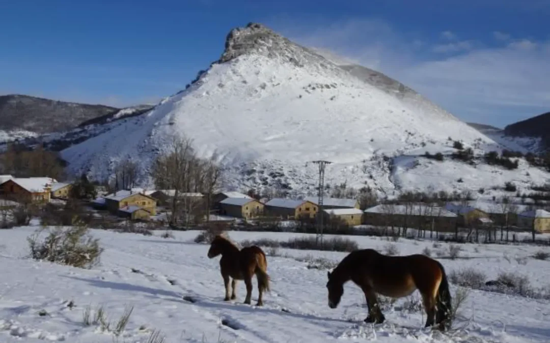 Galería | La Montaña Palentina se cubre de blanco