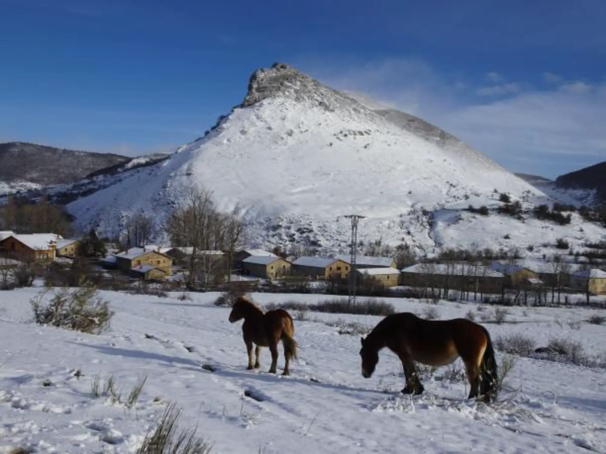 Galería La Montaña Palentina se cubre de blanco (1)