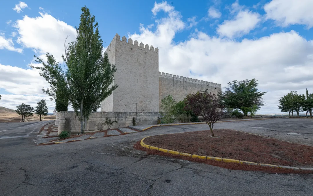 PROGRAMA | San Blas y Exaltación de los Nabos 2025 en Monzón de Campos