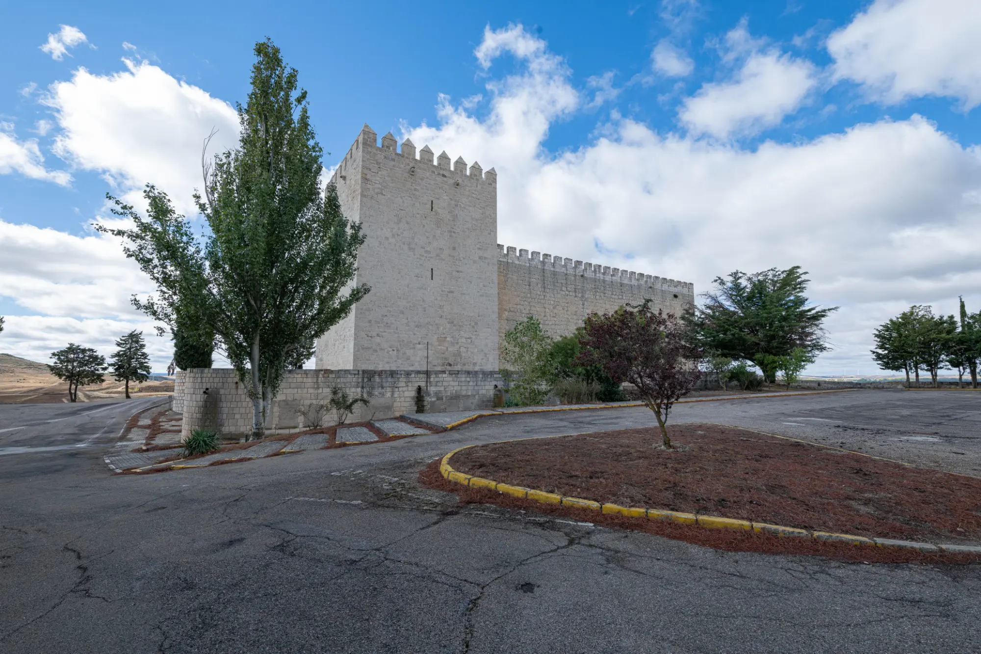 PROGRAMA de San Blas y Exaltación de los Nabos 2025 en Monzón de Campos