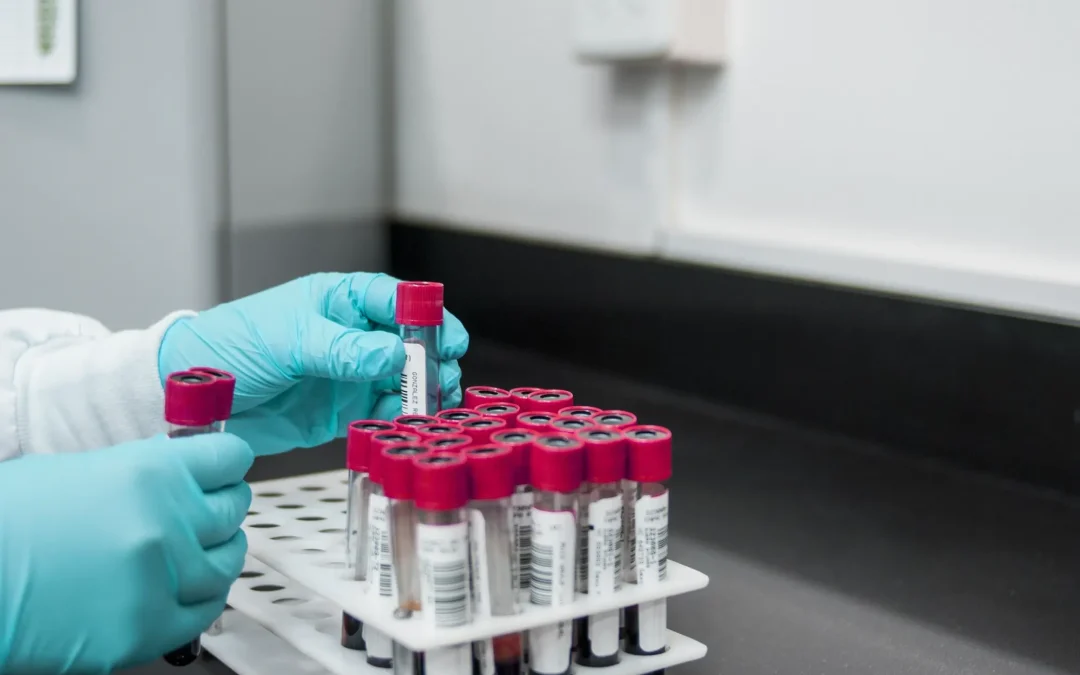 Palencia mantiene la estabilidad en donaciones de sangre y plasma en 2024