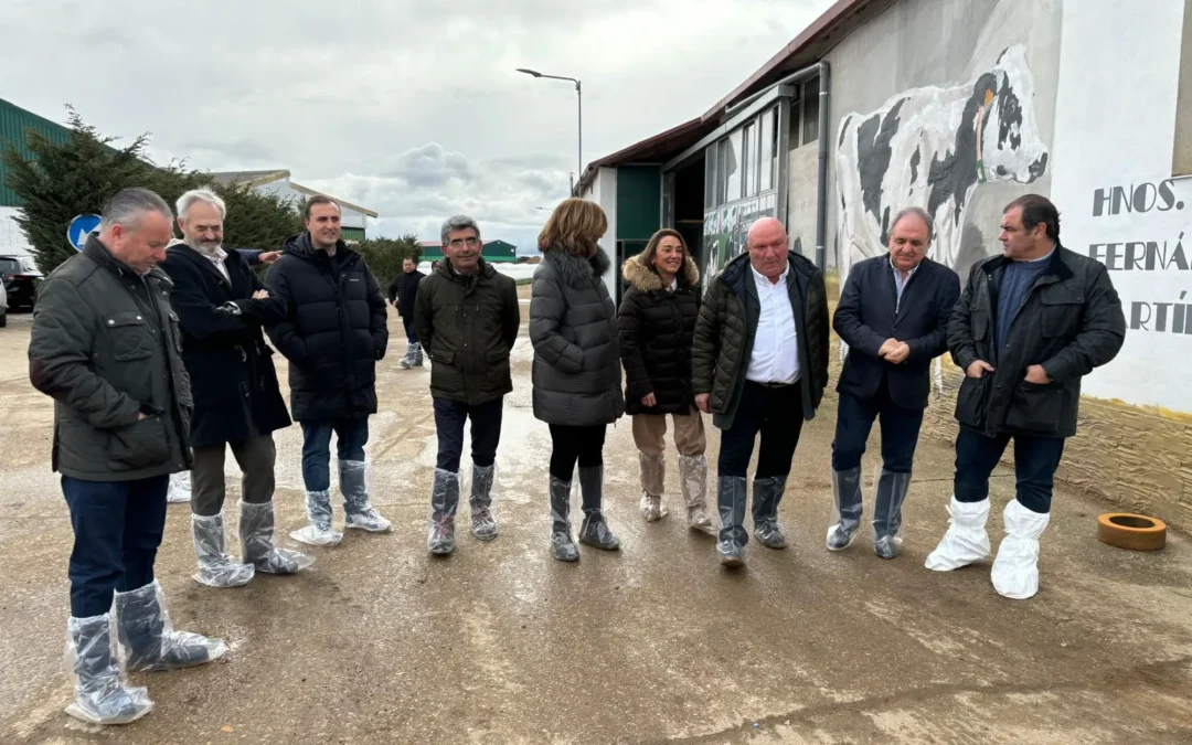 Ángeles Armisén reafirma el compromiso de la Diputación con la mejora en el manejo y la selección de la raza frisona en la segunda jornada provincial AFRIPA
