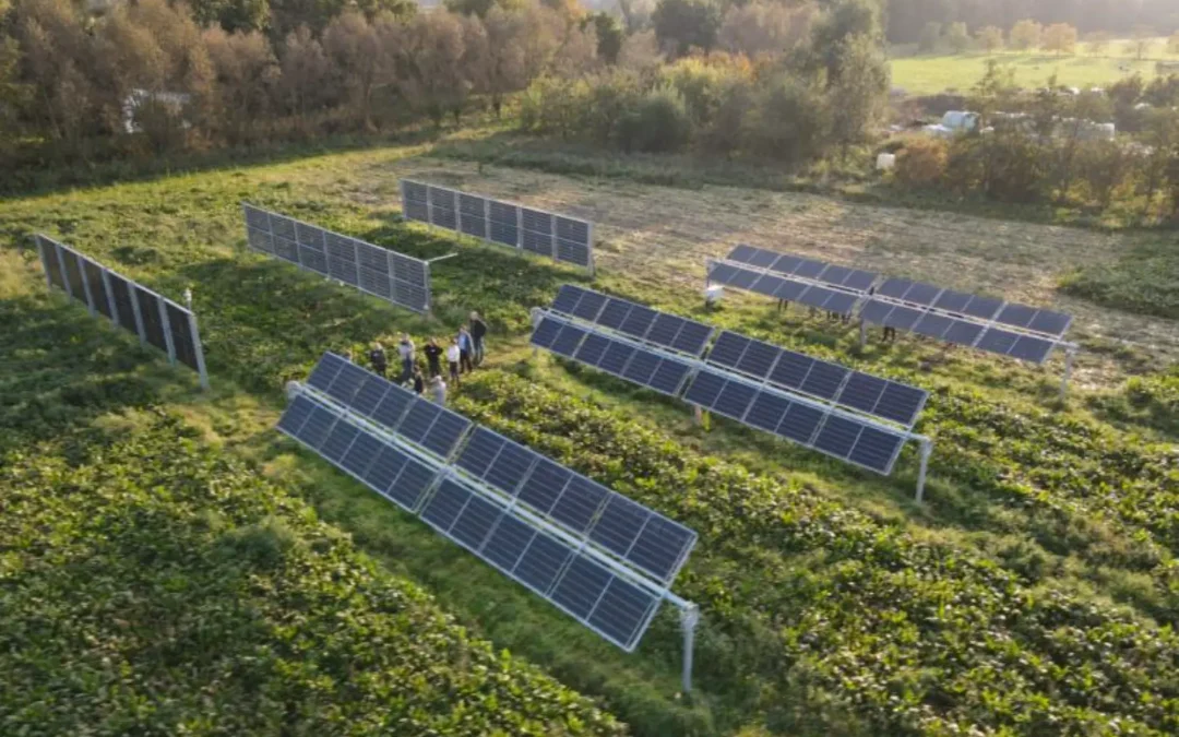 Cómo impulsar la generación de energía renovable sin menoscabo de la de la producción agrícola