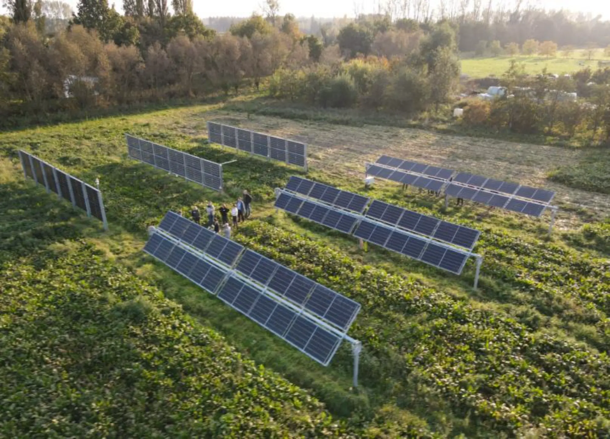 Cómo impulsar la generación de energía renovable sin menoscabo de la de la producción agrícola