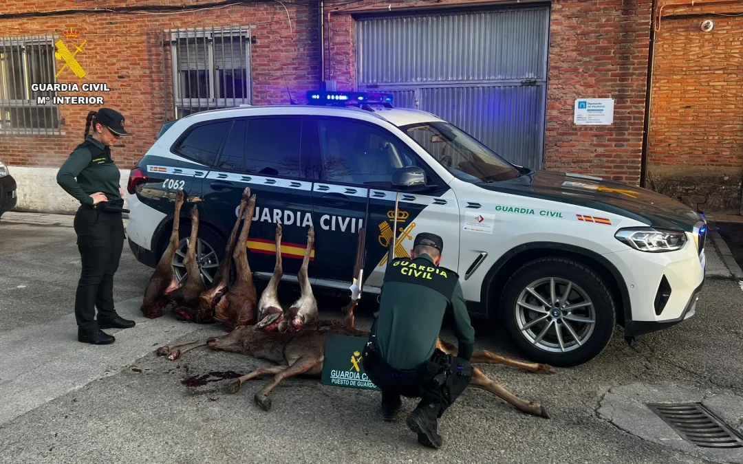 Sorprendidos cuatro cazadores furtivos en un coto de la montaña palentina