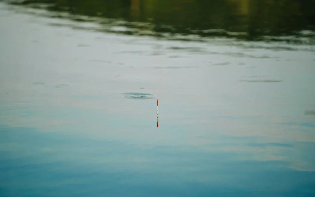 Comienza la temporada de pesca en las aguas trucheras de la Comunidad