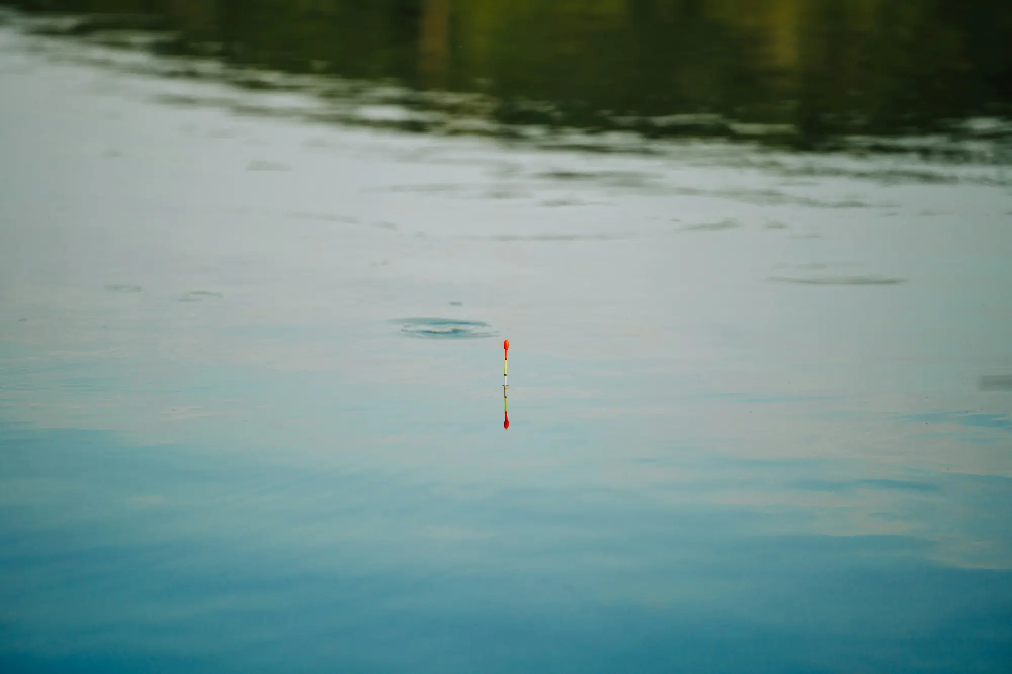 Comienza la temporada de pesca en las aguas trucheras de la Comunidad Comienza la temporada de pesca en las aguas trucheras de la Comunidad