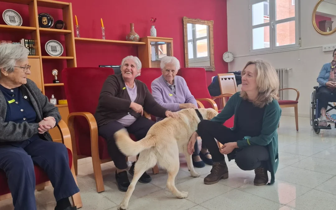 La Residencia de Mayores de San Telmo incorpora la Terapia Canina a sus actividades