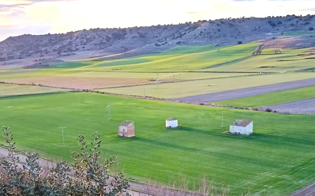 Ayudas para restaurar palomares y arquitectura tradicional en Palencia
