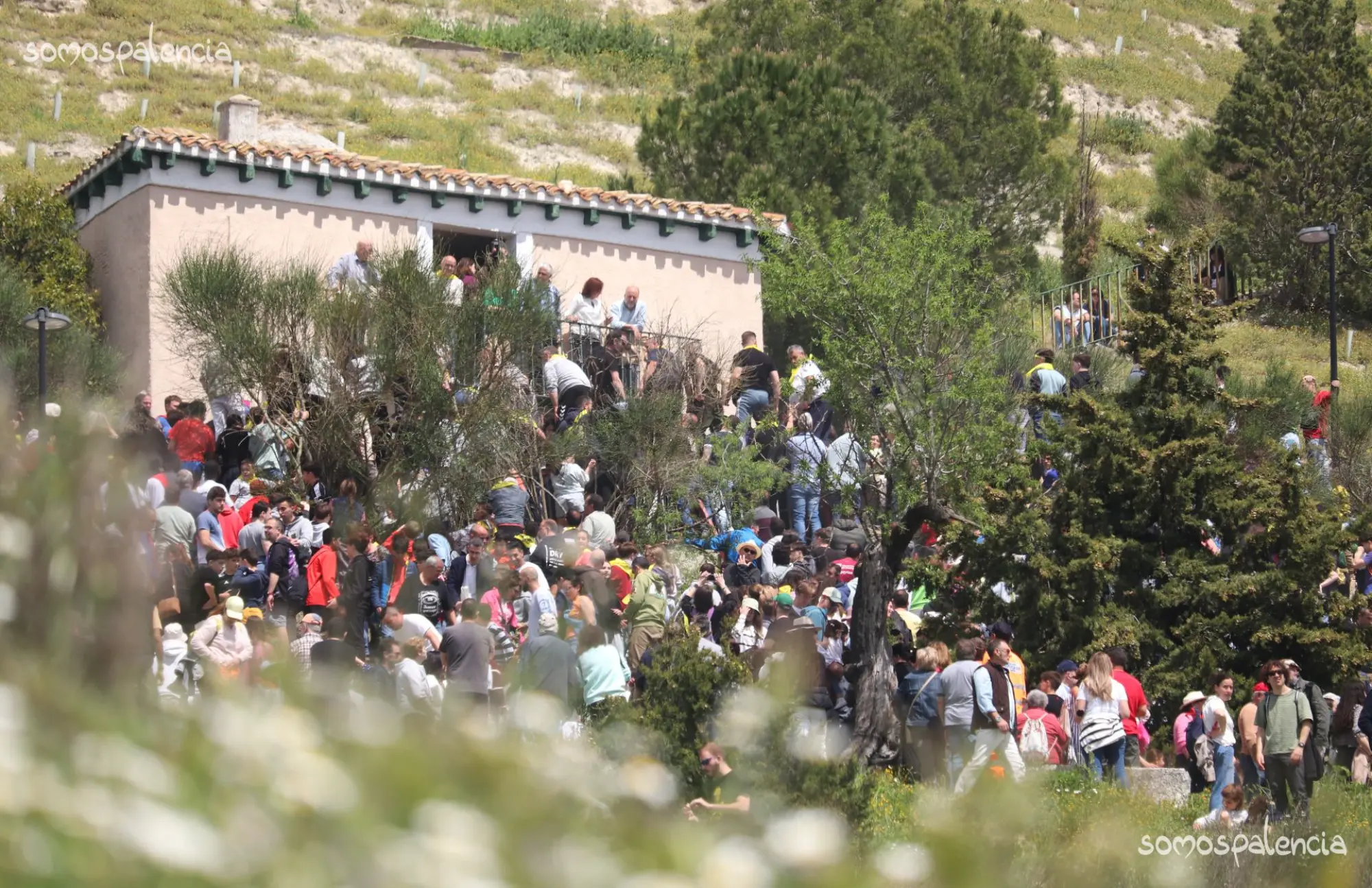 Galería Lluvia de pan y quesillo desde el Cristo del Otero Romería Santo Toribio 2025 (8)
