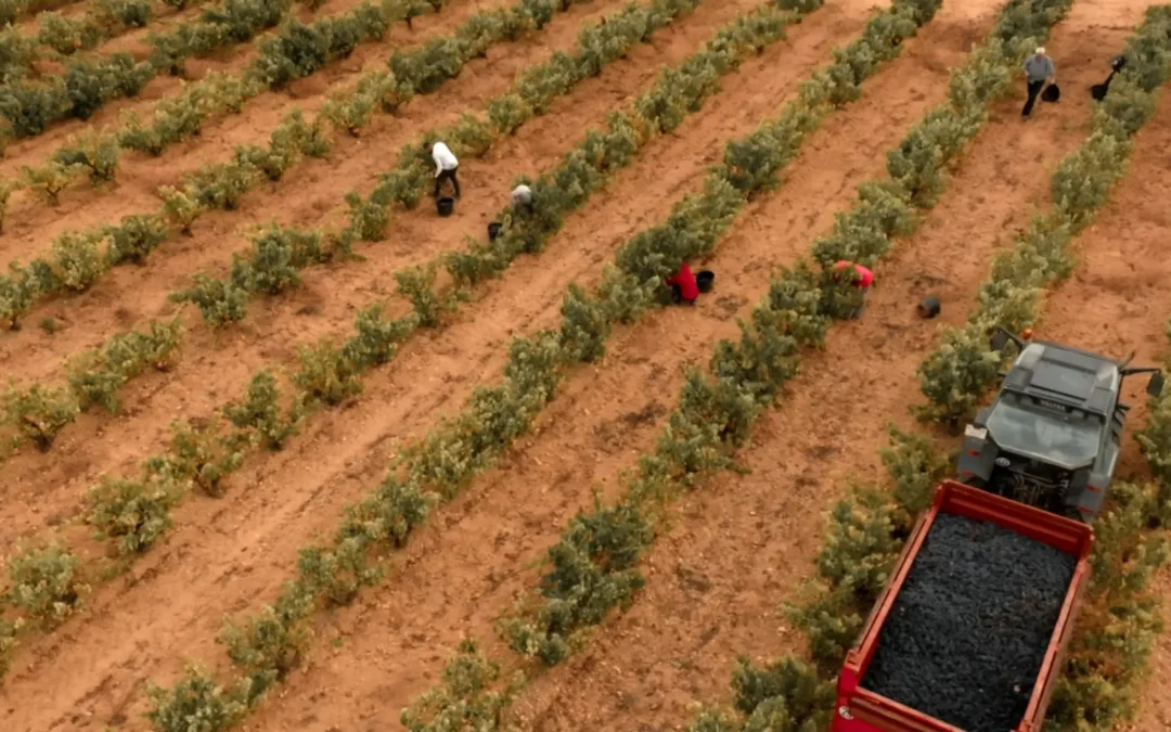 Grupo Barón de Ley, líder de la D.O.Ca Rioja, aterriza en la D.O. Ribera del Duero