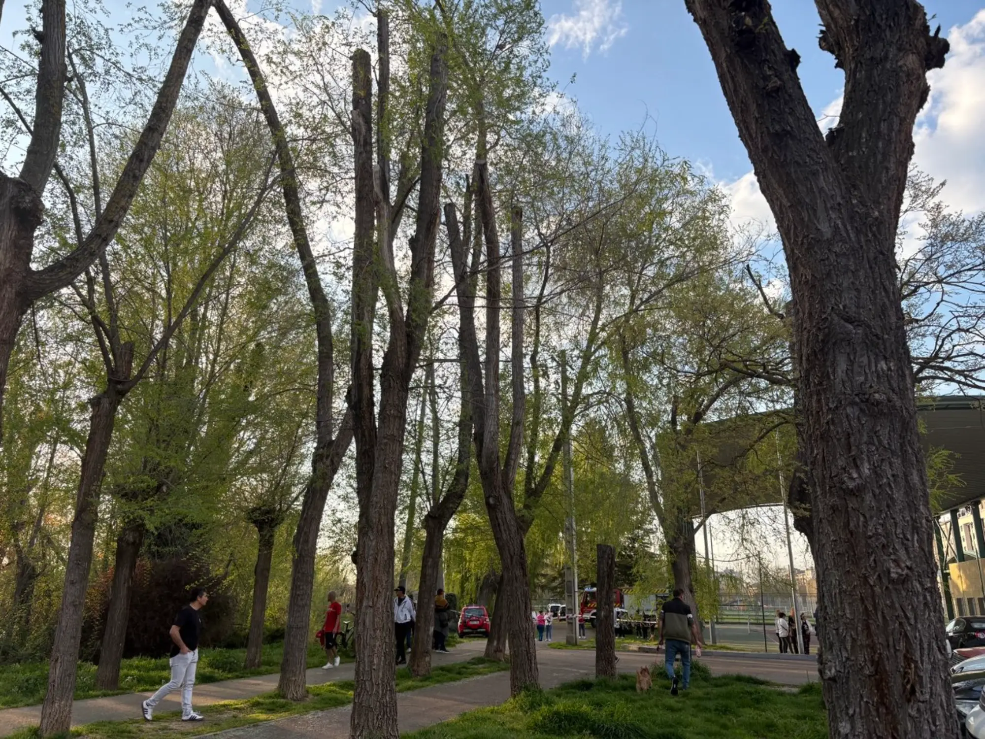 Los servicios de emergencias tratan de localizar a un menor en el río Carrión en Palencia