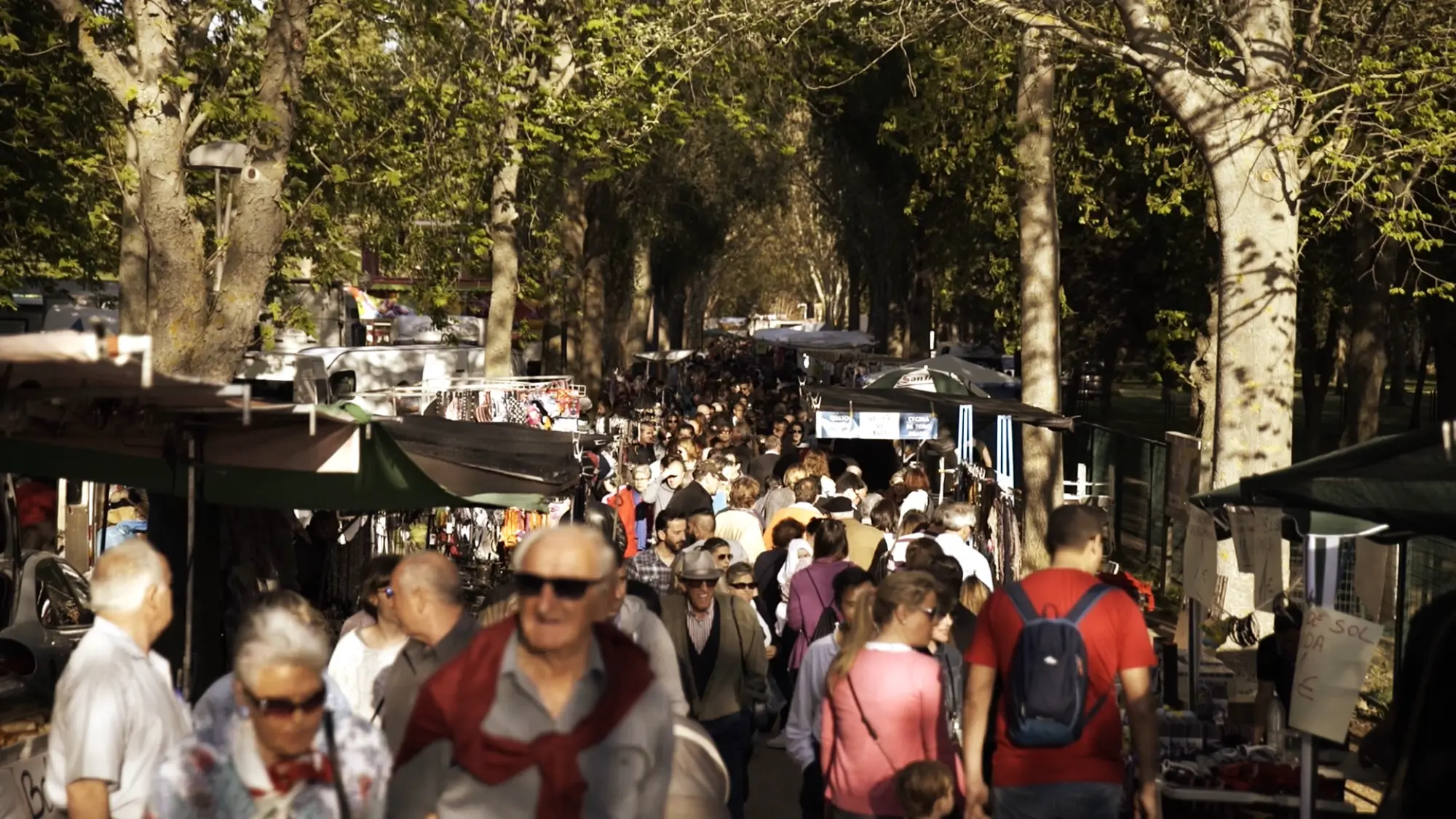 PROGRAMA Fiesta de San Marcos 2025 en Palencia
