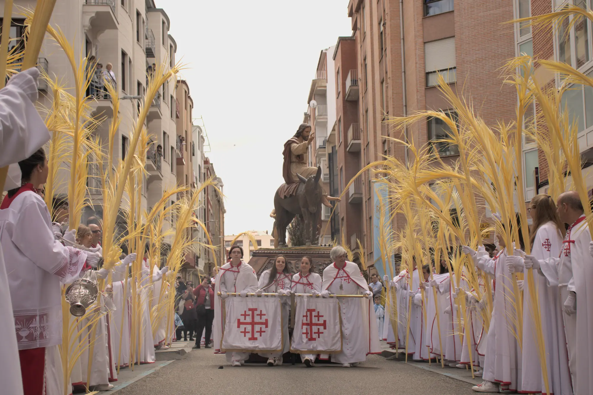 Procesión de La Borriquilla 2025 - Domingo de Ramos Semana Santa Palencia
