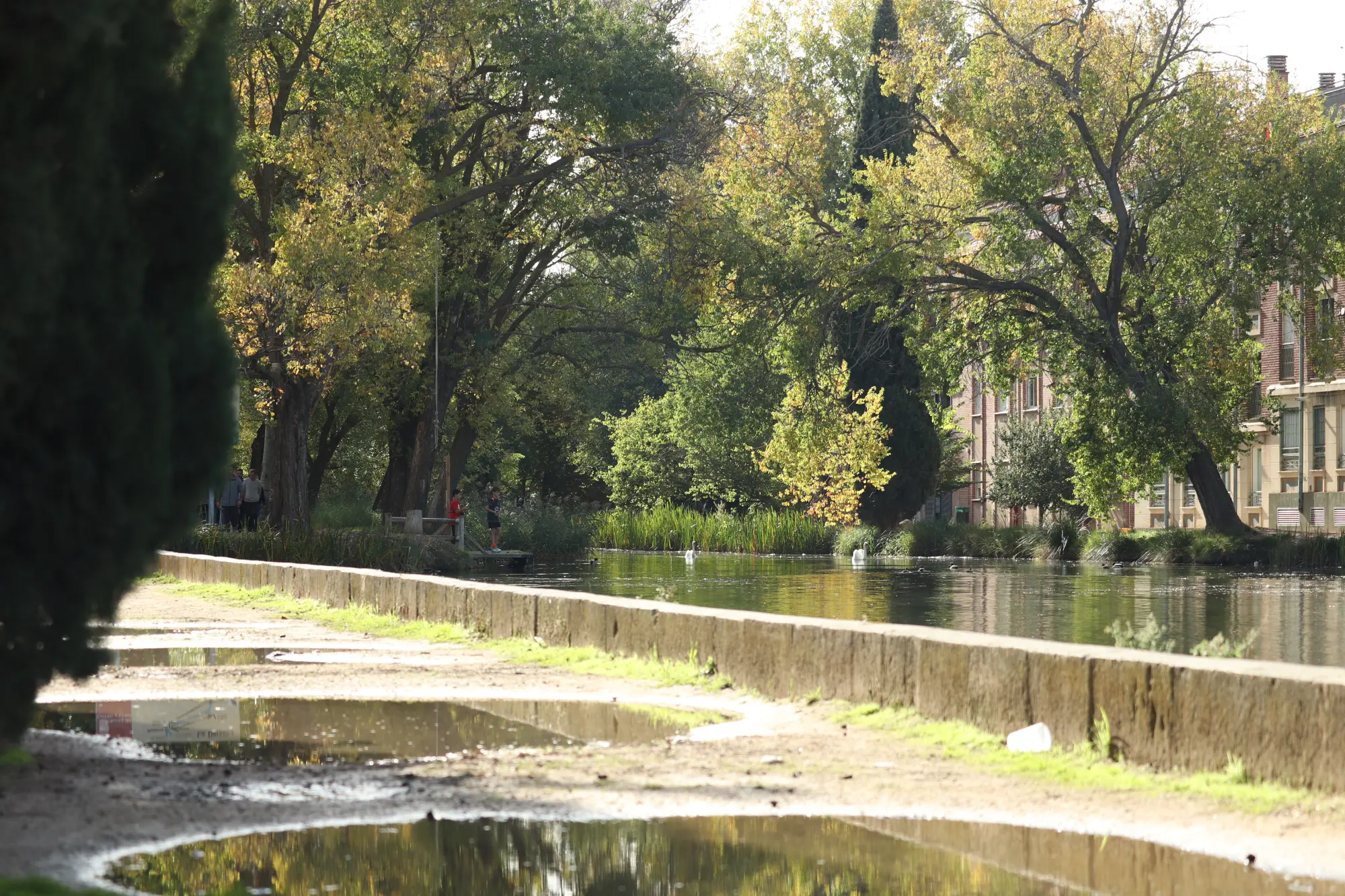 Vuelven las Rutas Saludables a Palencia