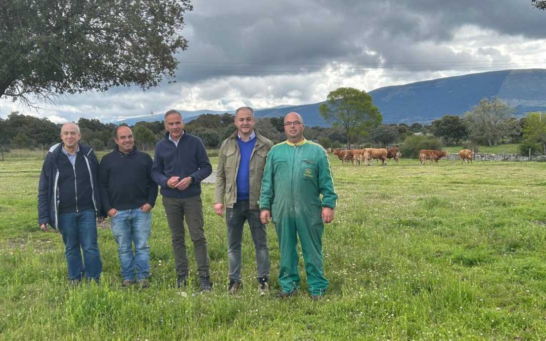 La Junta concede de forma directa nuevas ayudas por 1,16 millones de euros a 675 explotaciones de bovino afectadas por la EHE