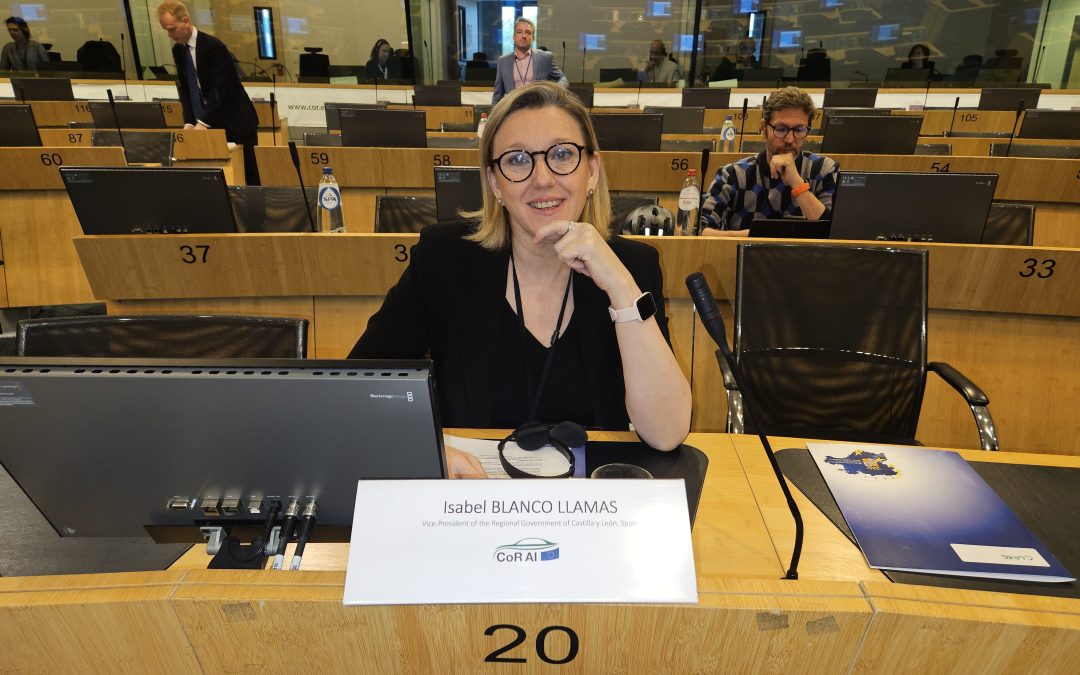 La vicepresidenta de la Junta defiende en el Comité de las Regiones de la UE los intereses de Castilla y León en materia de vivienda, automoción y fondos de cohesión