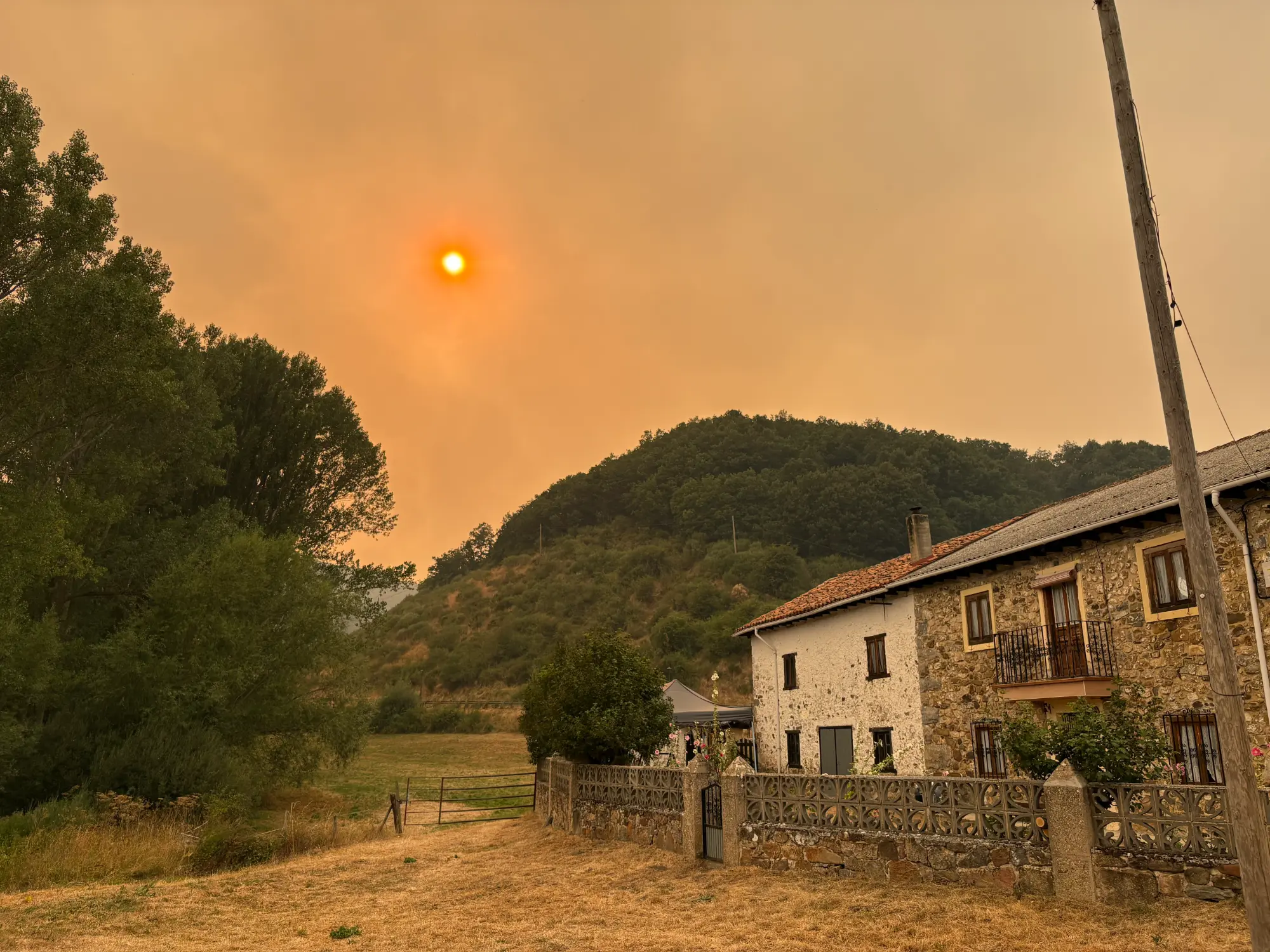 Ayudas a todos los municipios afectados por los incendios forestales en Castilla y León Ayudas a todos los municipios afectados por los incendios forestales en Castilla y León