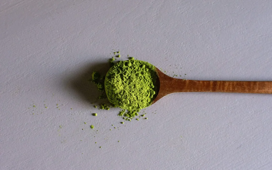 Be Matcha: el proyecto aragonés que quiere liderar el mercado europeo del té matcha orgánico