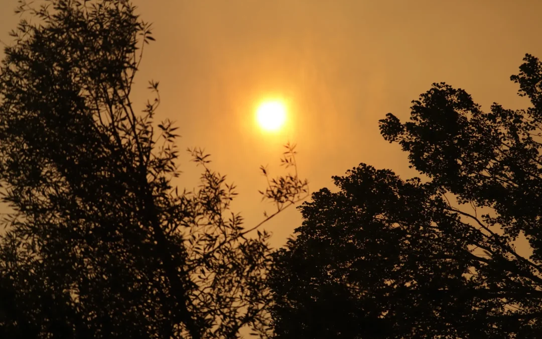 Nuevo incendio en Palencia: Villaoliva de la Peña