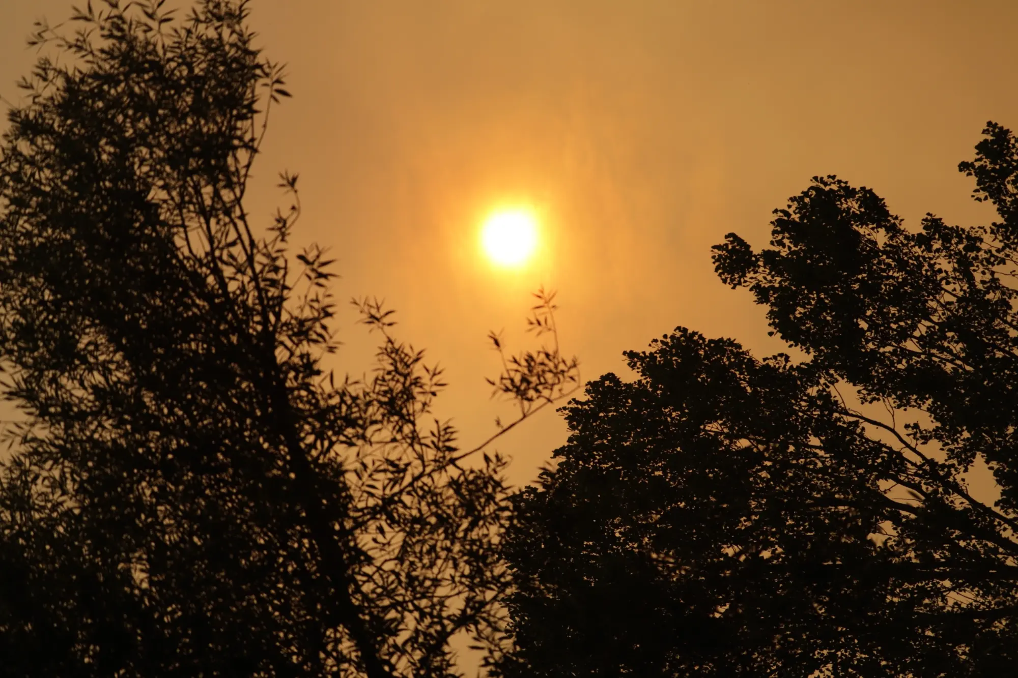 Nuevo incendio en Palencia Villaoliva de la Peña