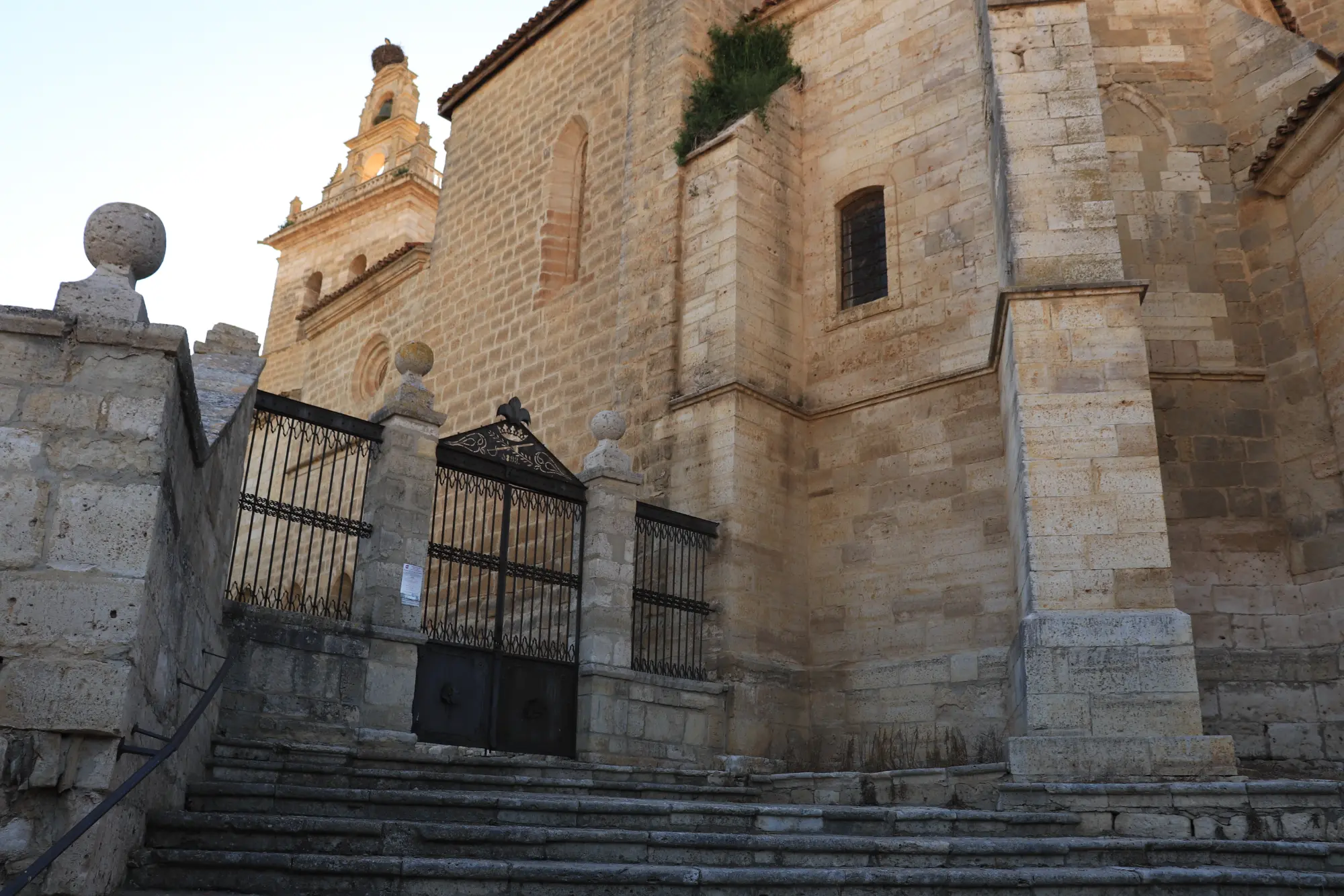 PROGRAMA de Fiestas del Beato Francisco 2025 en Villamediana
