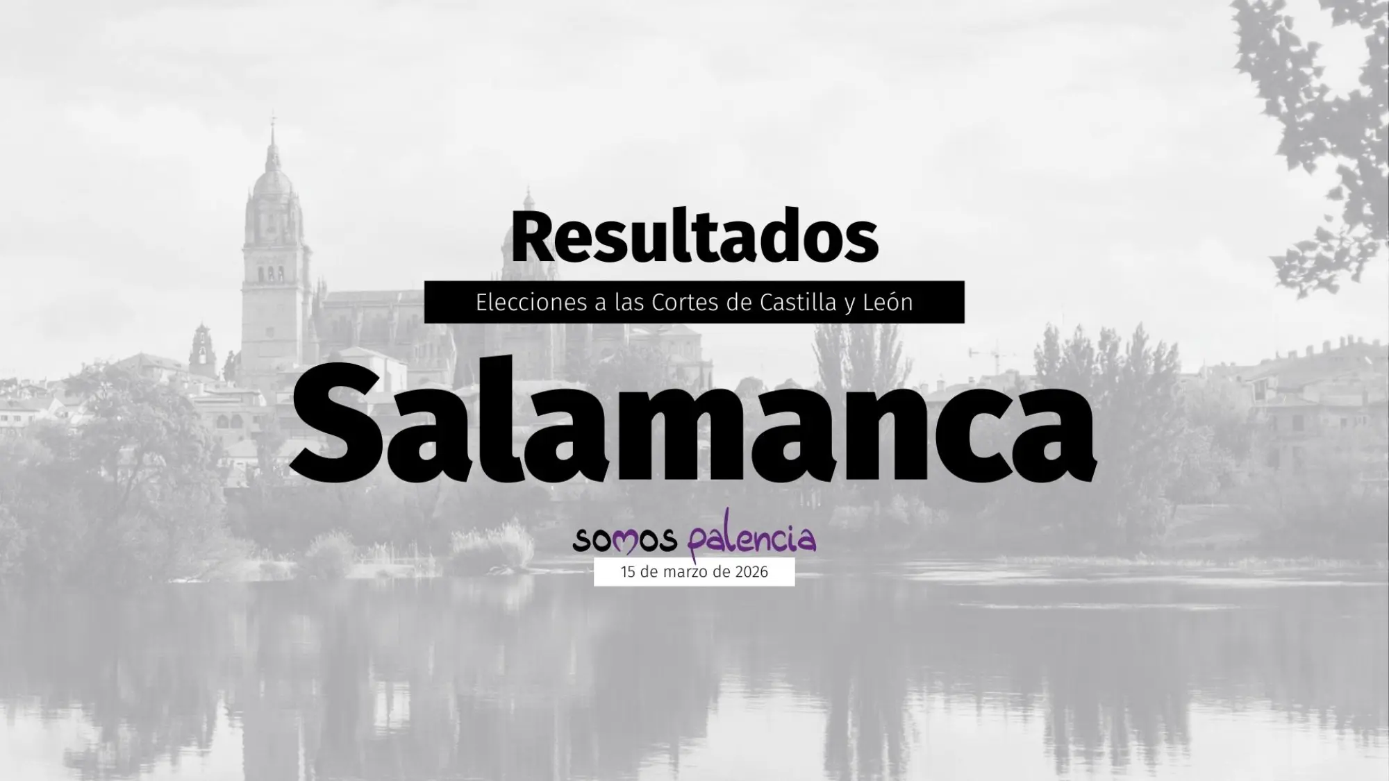Salamanca Resultados de las Elecciones de Castilla y León 2026 Salamanca Resultados de las Elecciones de Castilla y León 2026