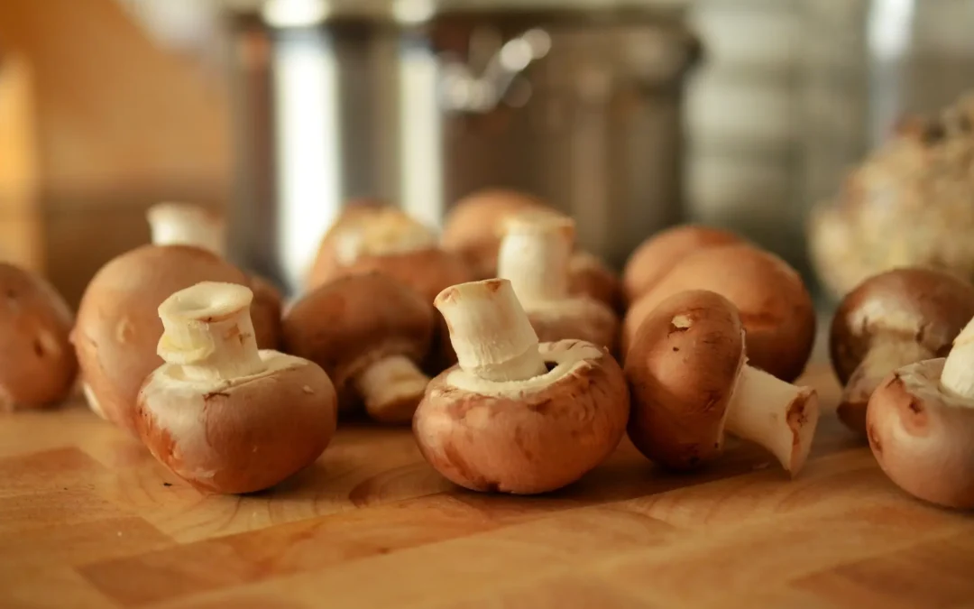 Componentes esenciales para tus electrodomésticos de cocina