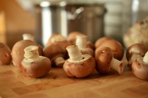 Componentes esenciales para tus electrodomésticos de cocina