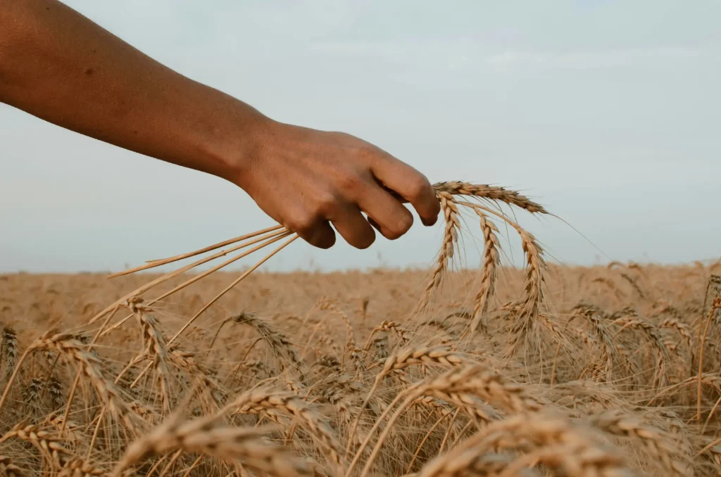 El CIFP Viñalta de Palencia acoge el campeonato nacional de FP agraria con estudiantes de seis comunidades los días 28 y 29 de abril